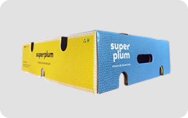 Packaging produced by Tirupati Packaging